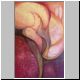 Embrion en flor, 0.65 x 1.00, Oleo sobre tela, M. Erminy